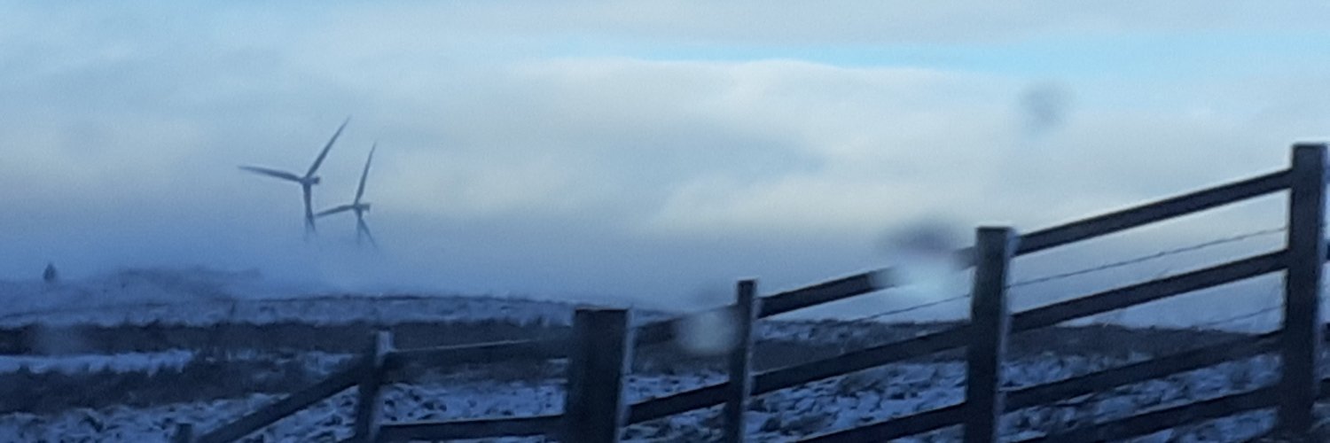 Prof L. E. Jowett banner