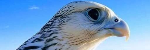 AlmtrHlym's profile banner image