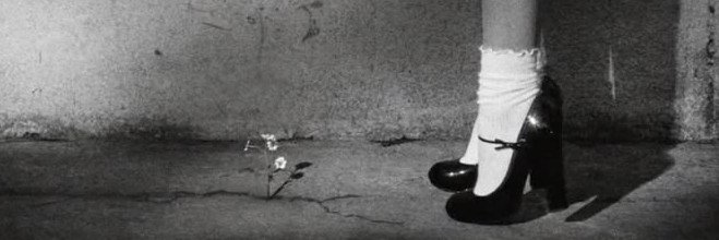 viitopias's profile banner image