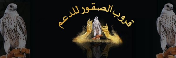alsqwr_lld Profile Banner