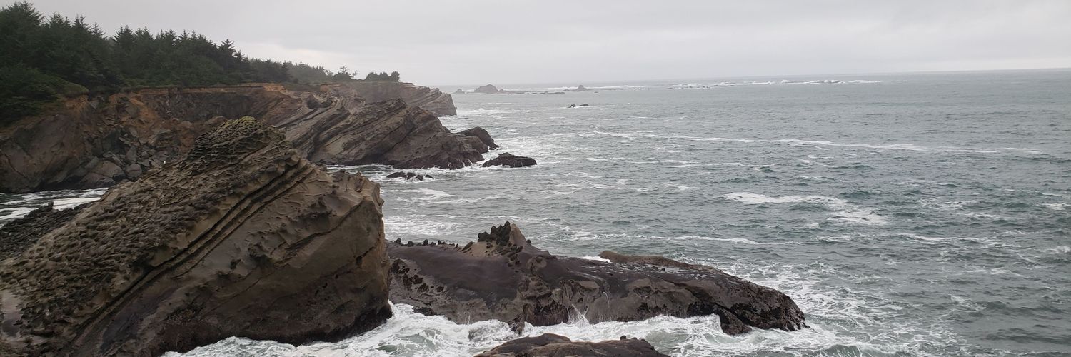 kritichoudhry's profile banner image