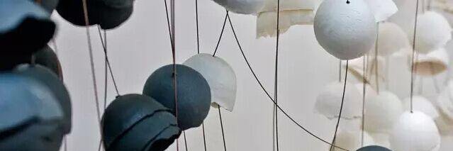 1160.bnb (✧ᴗ✧) banner