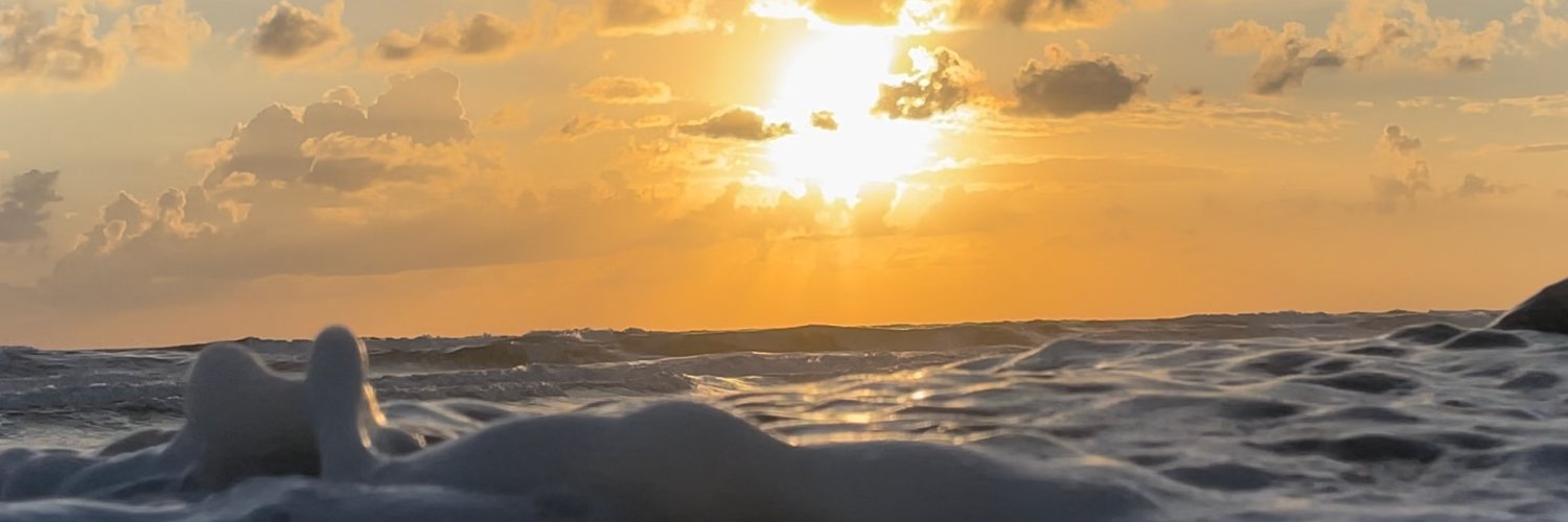 BeachLife22NFT's profile banner image