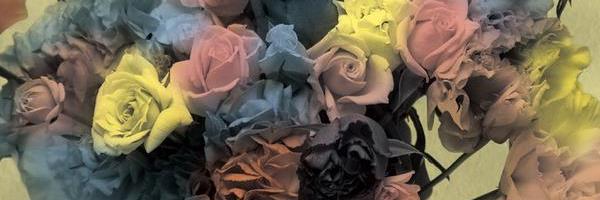 pukapuka7's profile banner image