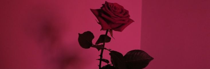 basant__h's profile banner image