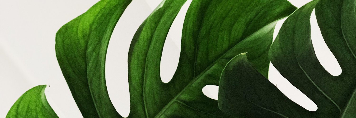 designick's profile banner image