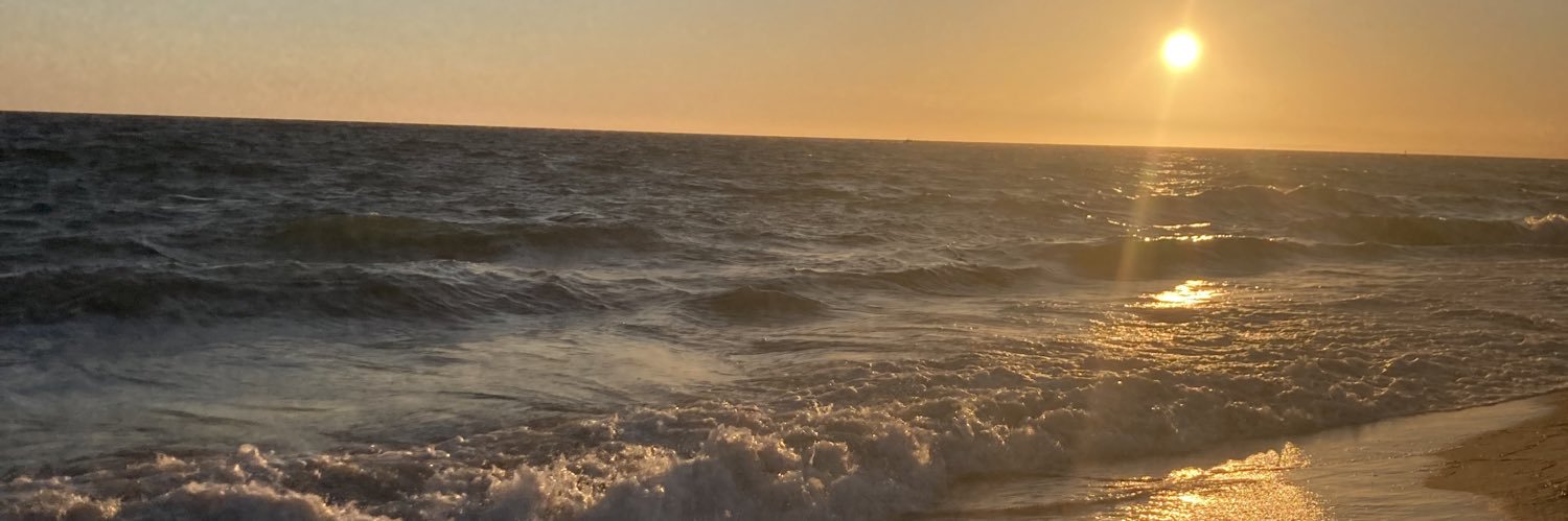 Beatriz Alias Palacios banner