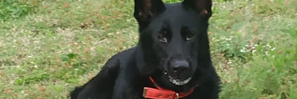 Empyros_'s profile banner image