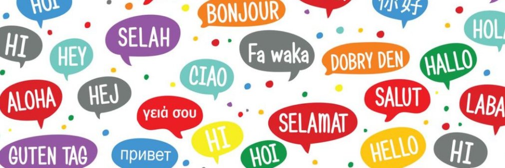 SSHS Modern Languages banner