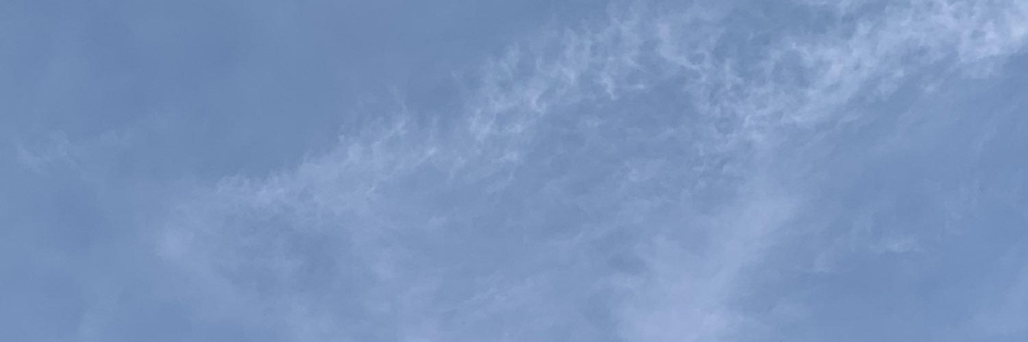 t banner