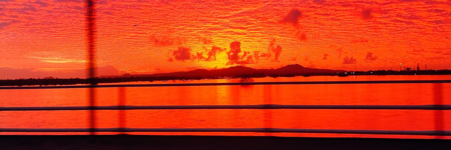 litosandoval's profile banner image