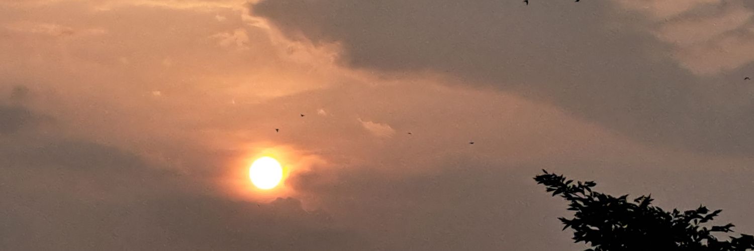 rekha__gupta's profile banner image
