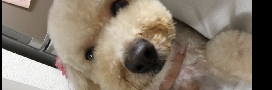 WassanM's profile banner image