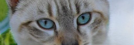 BethJon01585432's profile banner image