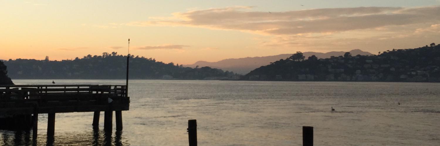 Benjamin Fenkell banner