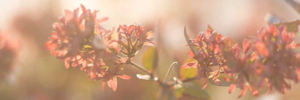 TwoEccentric's profile banner image