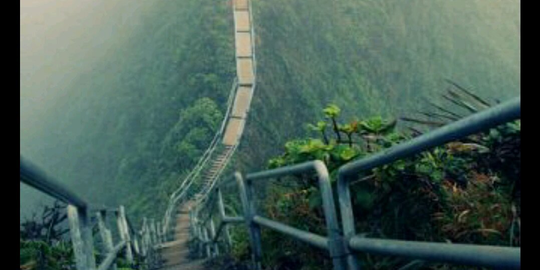 الباشق🦅 banner