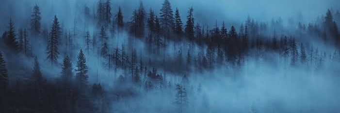 nevermindcc's profile banner image