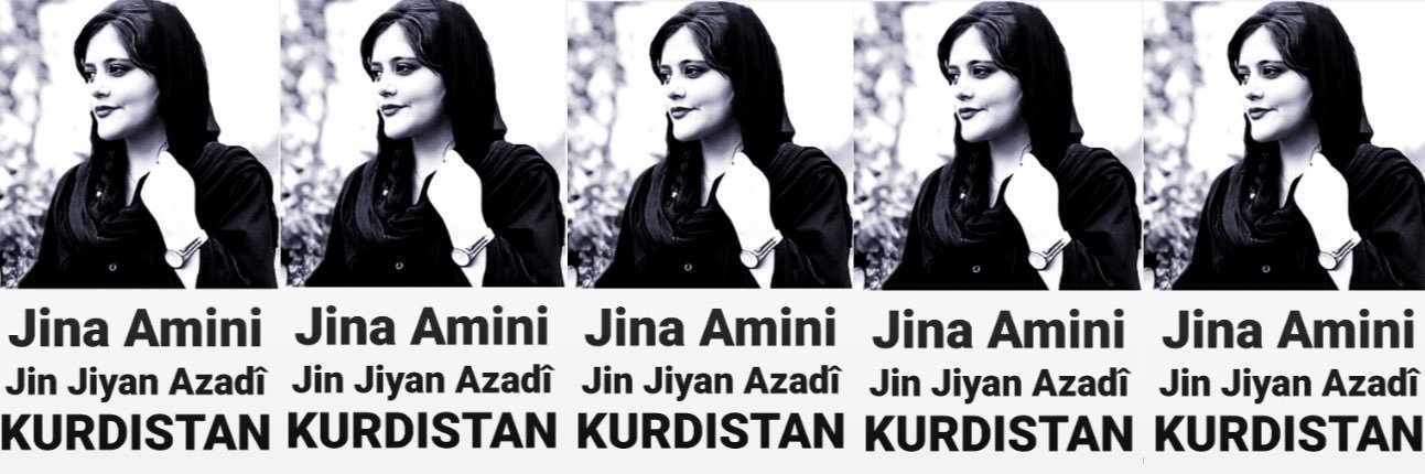 Hemîn banner