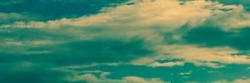 HarshDh45479250's profile banner image