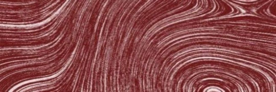 VaryaP6's profile banner image