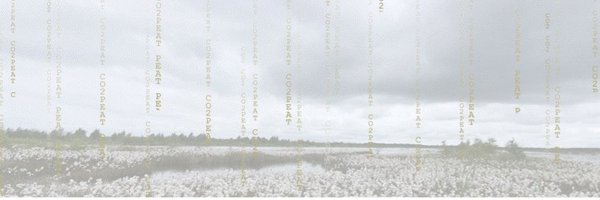 CO2PEAT_project Profile Banner