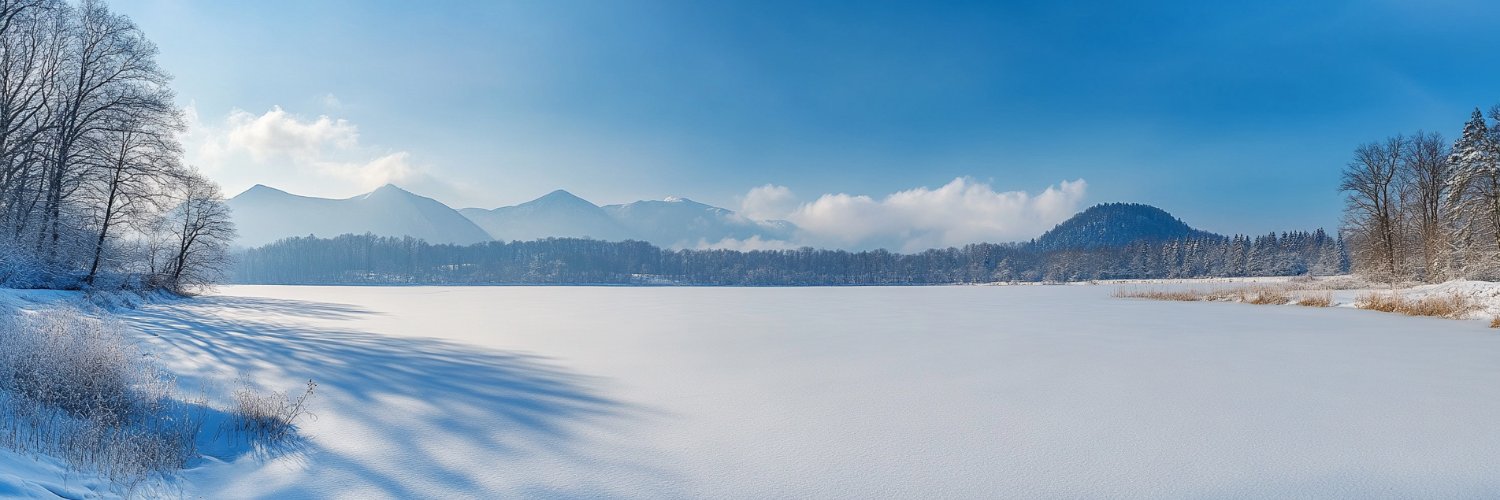 Ilham Ahmedov banner