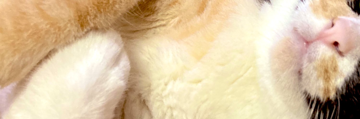 tanakanyasuke's profile banner image