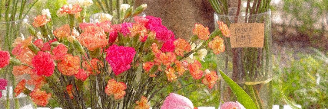 pqodtaj's profile banner image