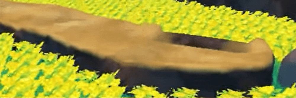 HONEY NUT, AND CHEERY. banner