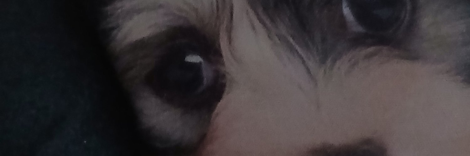 JustoSala's profile banner image