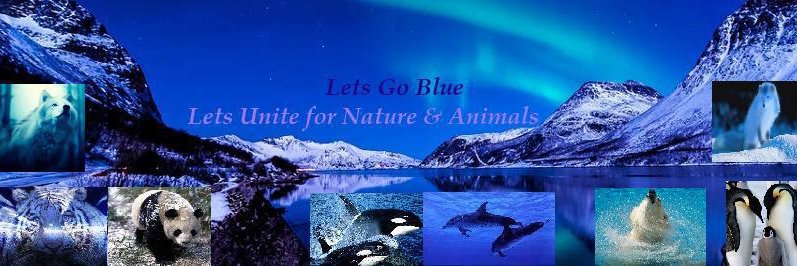 Voice4AnimalsNL's profile banner image