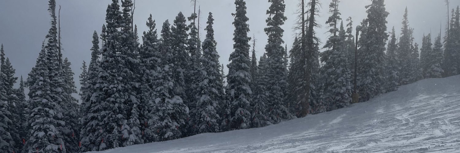 ProLeisure22's profile banner image
