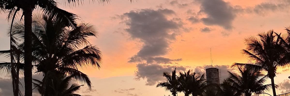 lorena banner