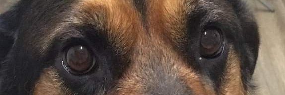Bimbam76's profile banner image