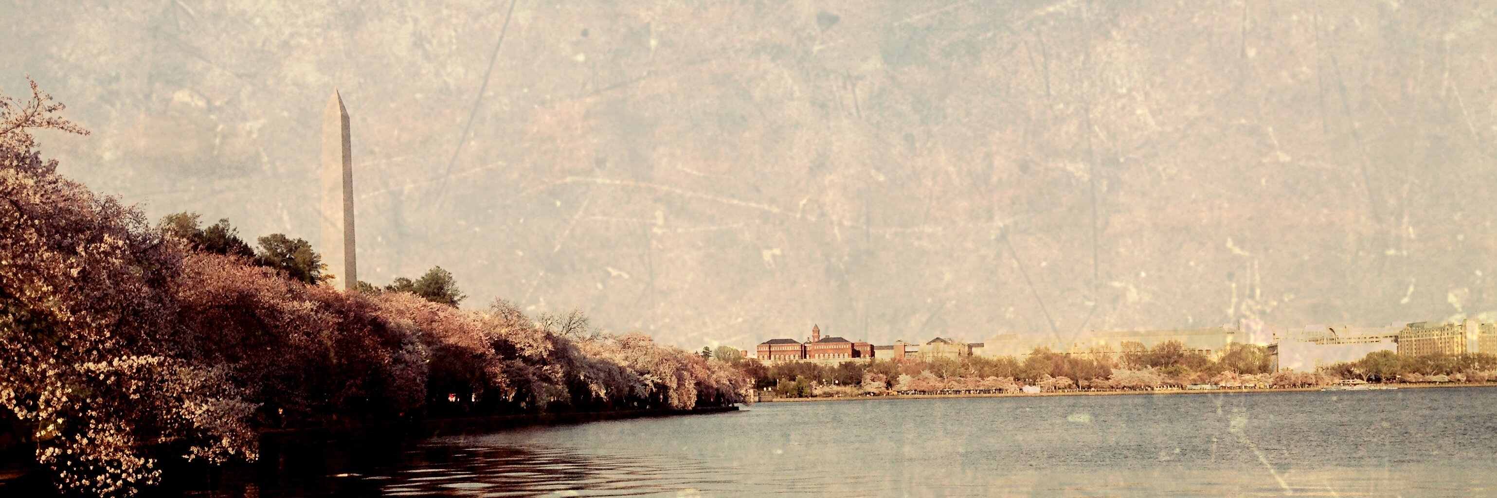MeredithFortier's profile banner image