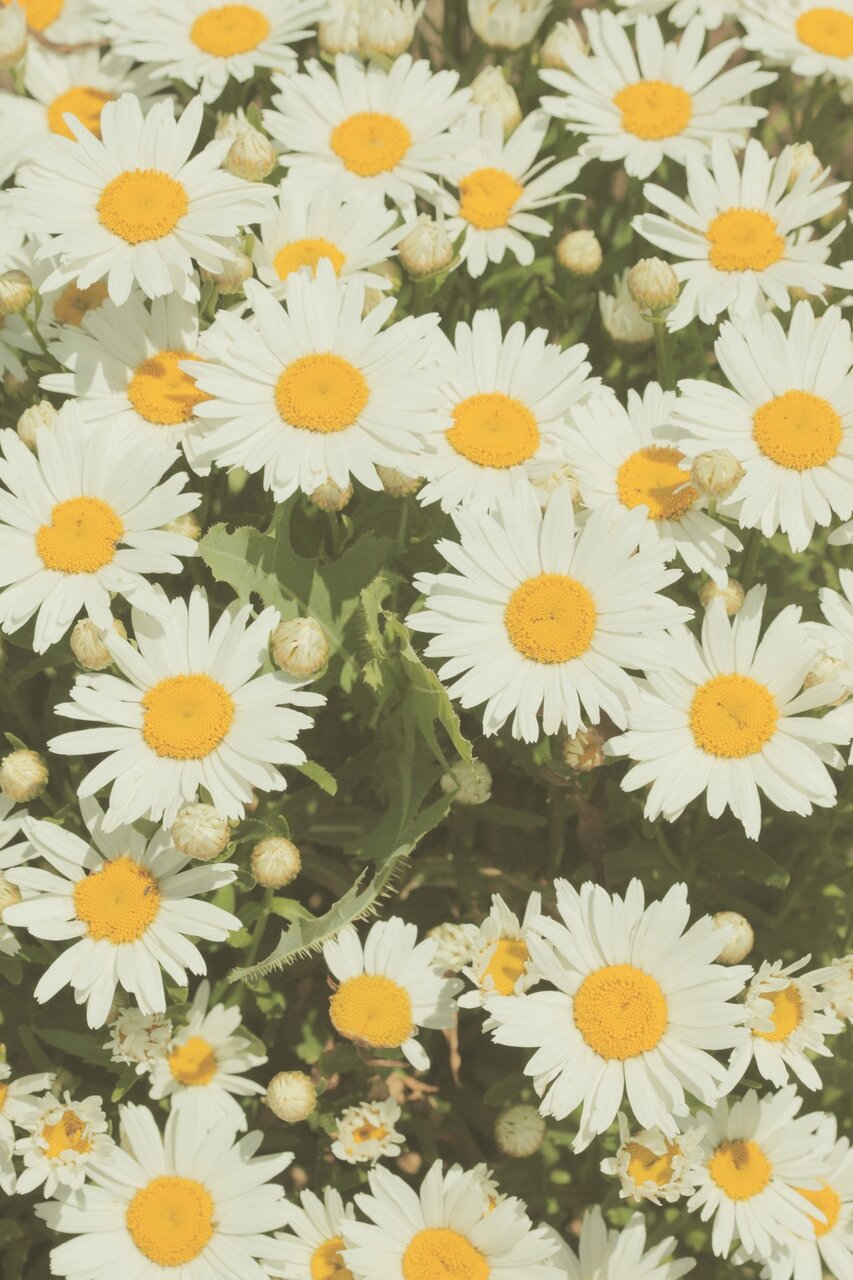 adonis08031578's profile banner image
