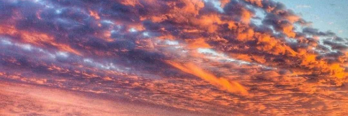 mwcarroll's profile banner image