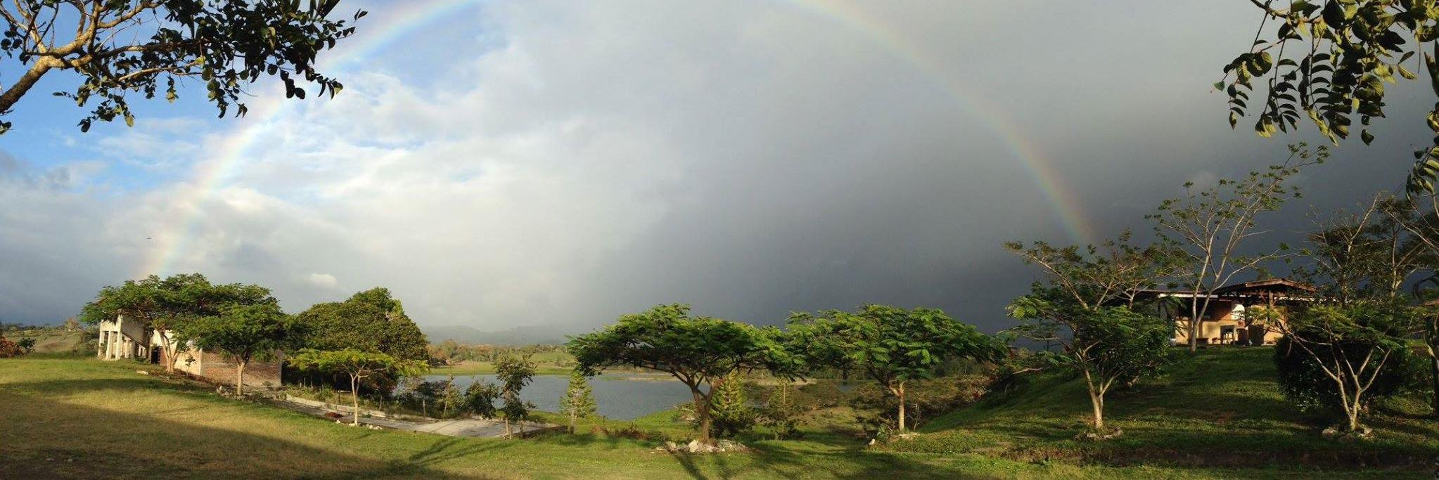 cc_nica's profile banner image