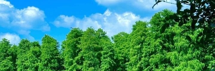 callumholmes34's profile banner image