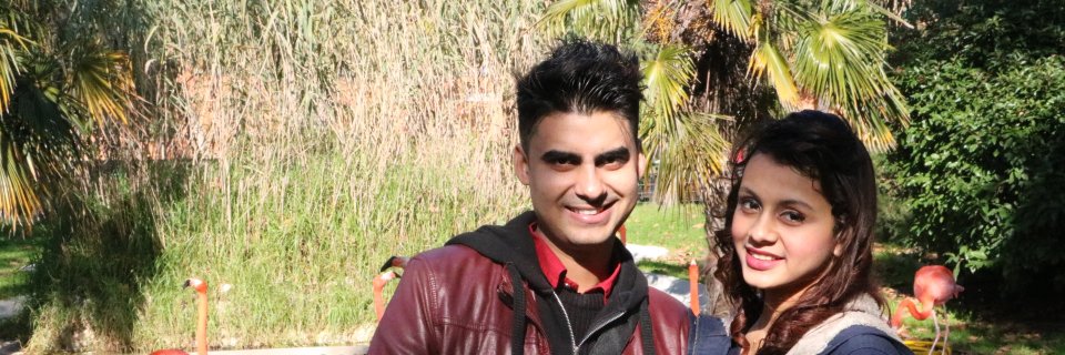 Binod banner