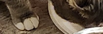 Shuddertrix banner