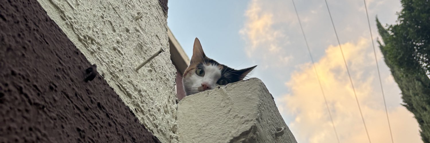 jooshbcy's profile banner image