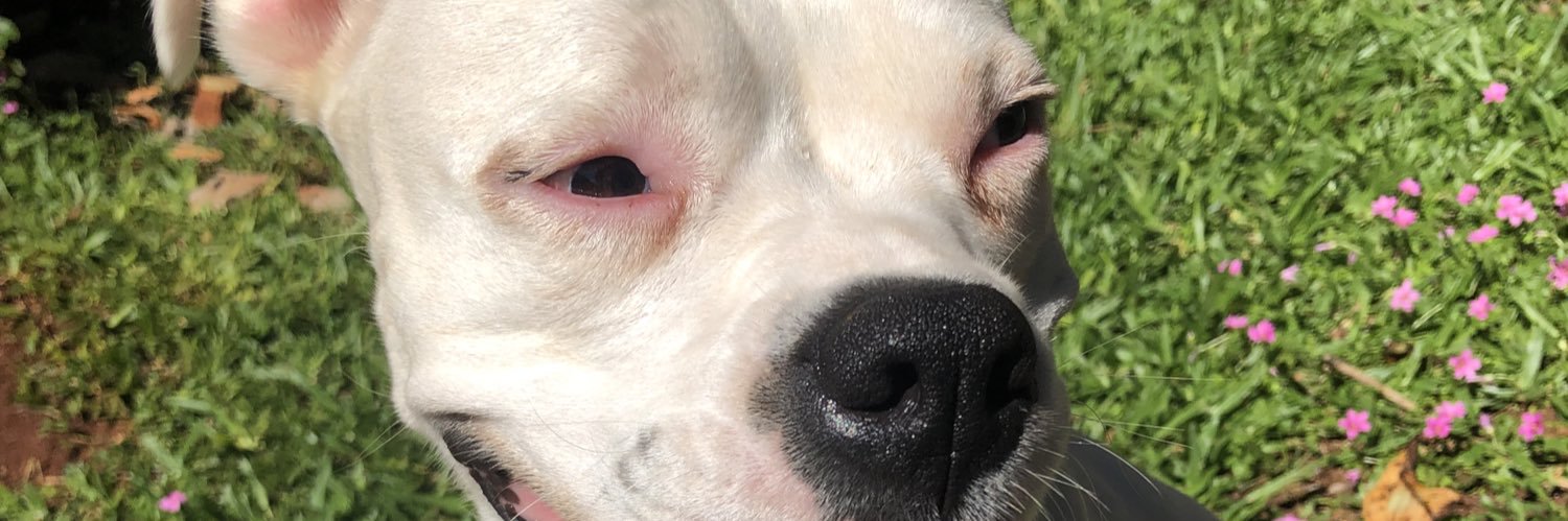 LuliKaefer's profile banner image