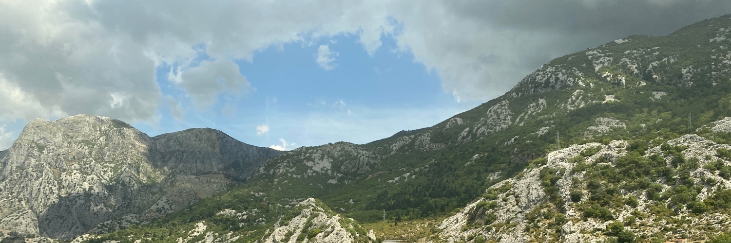 Aliya Karimjee banner