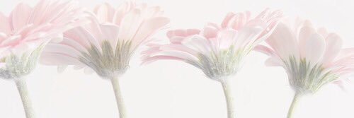 ____rainy's profile banner image