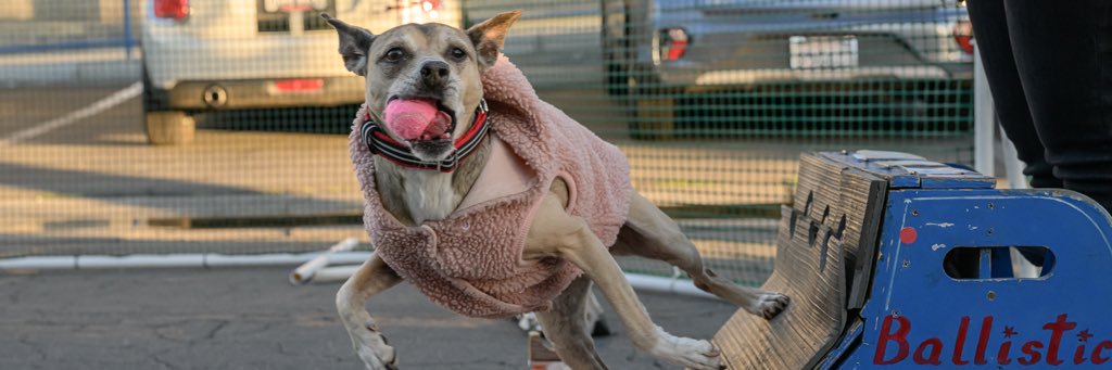 Bad, bad gurl🇺🇸🦅🇺🇦💛💙🏳️‍🌈🩷❤️🧡💛💚 banner