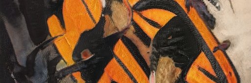 HHH.lens(🌸, 🌿)(💙,🧡)🐐 Tabi 🟧 STONE🐦‍⬛🪨♣️ banner