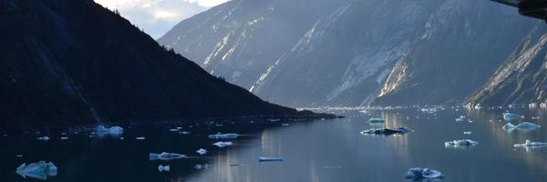 kevinshields Profile Banner