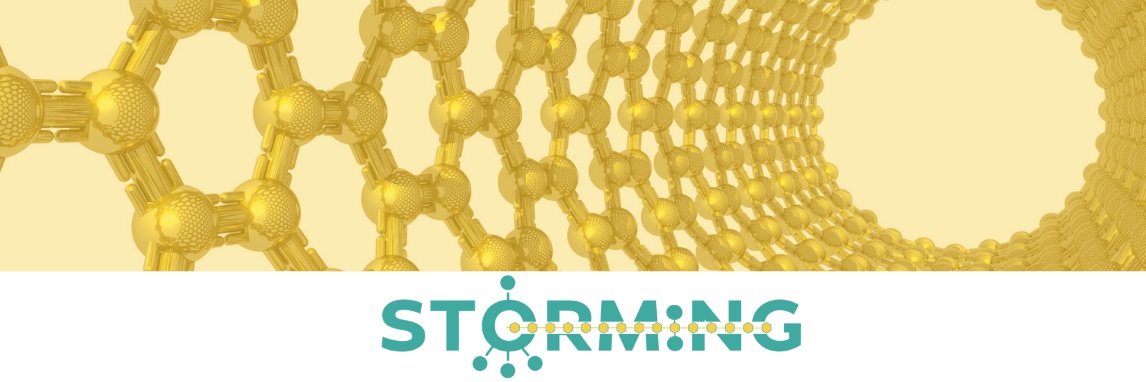 Storming EU project banner